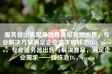 服务器出售服务器售卖服务器出售，专业解决方案满足企业需求蜘蛛池TG：zzcseo，专业服务器出售与解决方案，满足企业需求——蜘蛛池TG，zzcseo