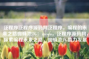 泛程序泛程序源码网泛程序，编程的未来之路蜘蛛池TG：zzcseo，泛程序源码网，探索编程未来之路，蜘蛛池TG助力发展