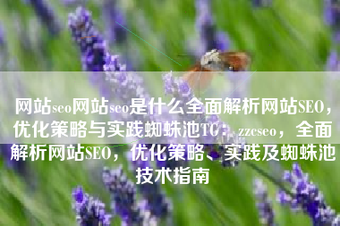 网站seo网站seo是什么全面解析网站SEO，优化策略与实践蜘蛛池TG：zzcseo，全面解析网站SEO，优化策略、实践及蜘蛛池技术指南