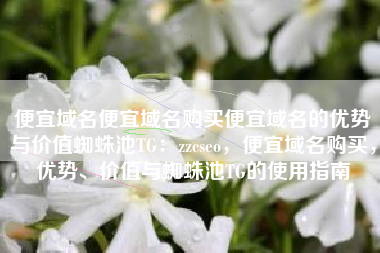 便宜域名便宜域名购买便宜域名的优势与价值蜘蛛池TG：zzcseo，便宜域名购买，优势、价值与蜘蛛池TG的使用指南