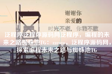 泛程序泛程序源码网泛程序，编程的未来之路蜘蛛池TG：zzcseo，泛程序源码网，探索编程未来之路与蜘蛛池TG