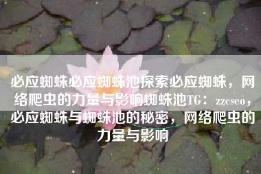 必应蜘蛛必应蜘蛛池探索必应蜘蛛，网络爬虫的力量与影响蜘蛛池TG：zzcseo，必应蜘蛛与蜘蛛池的秘密，网络爬虫的力量与影响