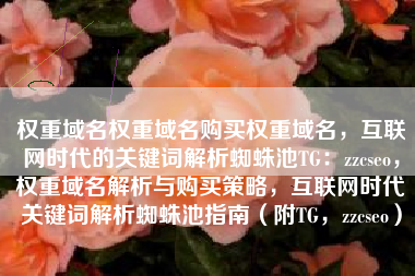 权重域名权重域名购买权重域名，互联网时代的关键词解析蜘蛛池TG：zzcseo，权重域名解析与购买策略，互联网时代关键词解析蜘蛛池指南（附TG，zzcseo）