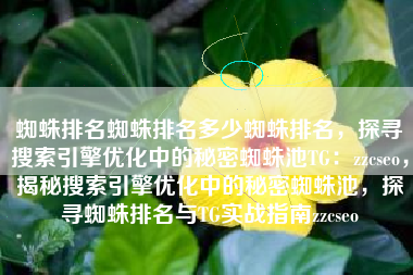蜘蛛排名蜘蛛排名多少蜘蛛排名，探寻搜索引擎优化中的秘密蜘蛛池TG：zzcseo，揭秘搜索引擎优化中的秘密蜘蛛池，探寻蜘蛛排名与TG实战指南zzcseo