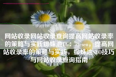 网站收录网站收录查询提高网站收录率的策略与实践蜘蛛池TG：zzcseo，提高网站收录率的策略与实践，蜘蛛池SEO技巧与网站收录查询指南