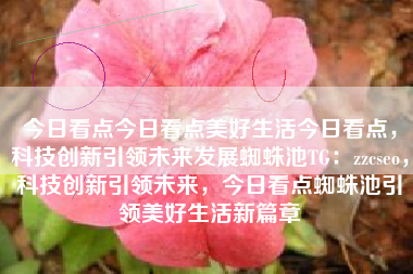 今日看点今日看点美好生活今日看点，科技创新引领未来发展蜘蛛池TG：zzcseo，科技创新引领未来，今日看点蜘蛛池引领美好生活新篇章
