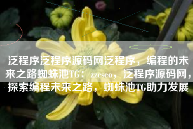 泛程序泛程序源码网泛程序，编程的未来之路蜘蛛池TG：zzcseo，泛程序源码网，探索编程未来之路，蜘蛛池TG助力发展