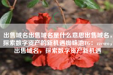 出售域名出售域名是什么意思出售域名，探索数字资产的新机遇蜘蛛池TG：zzcseo，出售域名，探索数字资产新机遇