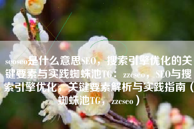 seoseo是什么意思SEO，搜索引擎优化的关键要素与实践蜘蛛池TG：zzcseo，SEO与搜索引擎优化，关键要素解析与实践指南（蜘蛛池TG，zzcseo）