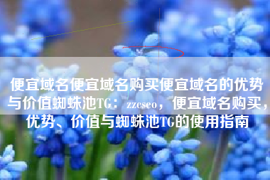 便宜域名便宜域名购买便宜域名的优势与价值蜘蛛池TG：zzcseo，便宜域名购买，优势、价值与蜘蛛池TG的使用指南