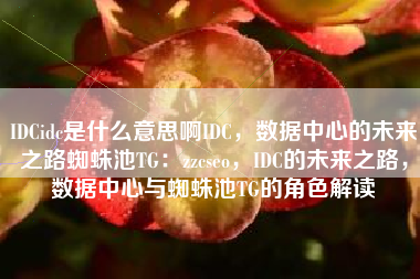 IDCidc是什么意思啊IDC，数据中心的未来之路蜘蛛池TG：zzcseo，IDC的未来之路，数据中心与蜘蛛池TG的角色解读