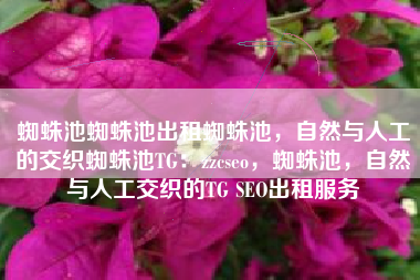 蜘蛛池蜘蛛池出租蜘蛛池，自然与人工的交织蜘蛛池TG：zzcseo，蜘蛛池，自然与人工交织的TG SEO出租服务