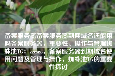 备案服务器备案服务器到期域名还能用吗备案服务器，重要性、操作与管理蜘蛛池TG：zzcseo，备案服务器到期域名使用问题及管理与操作，蜘蛛池TG的重要性探讨