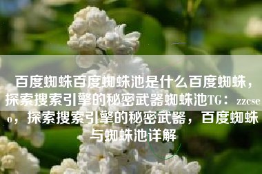 百度蜘蛛百度蜘蛛池是什么百度蜘蛛，探索搜索引擎的秘密武器蜘蛛池TG：zzcseo，探索搜索引擎的秘密武器，百度蜘蛛与蜘蛛池详解