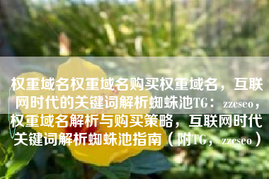 权重域名权重域名购买权重域名，互联网时代的关键词解析蜘蛛池TG：zzcseo，权重域名解析与购买策略，互联网时代关键词解析蜘蛛池指南（附TG，zzcseo）
