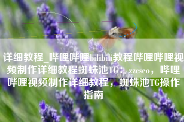 详细教程_哔哩哔哩bilibili教程哔哩哔哩视频制作详细教程蜘蛛池TG：zzcseo，哔哩哔哩视频制作详细教程，蜘蛛池TG操作指南