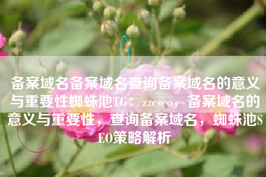 备案域名备案域名查询备案域名的意义与重要性蜘蛛池TG：zzcseo，备案域名的意义与重要性，查询备案域名，蜘蛛池SEO策略解析
