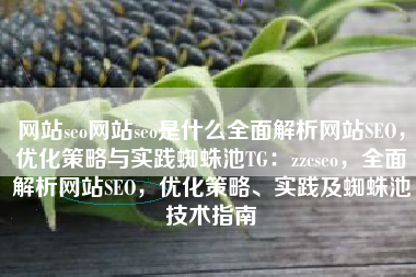 网站seo网站seo是什么全面解析网站SEO，优化策略与实践蜘蛛池TG：zzcseo，全面解析网站SEO，优化策略、实践及蜘蛛池技术指南