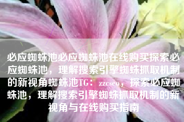 必应蜘蛛池必应蜘蛛池在线购买探索必应蜘蛛池，理解搜索引擎蜘蛛抓取机制的新视角蜘蛛池TG：zzcseo，探索必应蜘蛛池，理解搜索引擎蜘蛛抓取机制的新视角与在线购买指南