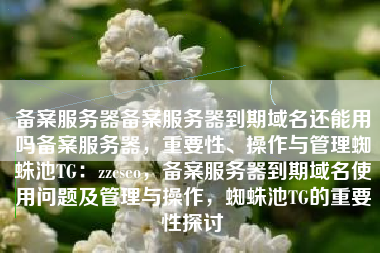 备案服务器备案服务器到期域名还能用吗备案服务器，重要性、操作与管理蜘蛛池TG：zzcseo，备案服务器到期域名使用问题及管理与操作，蜘蛛池TG的重要性探讨