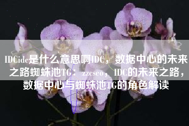 IDCidc是什么意思啊IDC，数据中心的未来之路蜘蛛池TG：zzcseo，IDC的未来之路，数据中心与蜘蛛池TG的角色解读