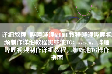 详细教程_哔哩哔哩bilibili教程哔哩哔哩视频制作详细教程蜘蛛池TG：zzcseo，哔哩哔哩视频制作详细教程，蜘蛛池TG操作指南
