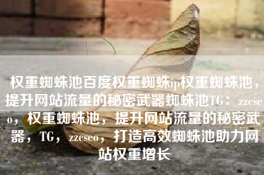 权重蜘蛛池百度权重蜘蛛ip权重蜘蛛池，提升网站流量的秘密武器蜘蛛池TG：zzcseo，权重蜘蛛池，提升网站流量的秘密武器，TG，zzcseo，打造高效蜘蛛池助力网站权重增长