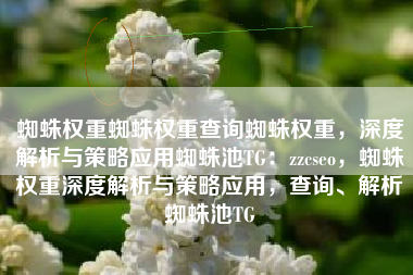 蜘蛛权重蜘蛛权重查询蜘蛛权重，深度解析与策略应用蜘蛛池TG：zzcseo，蜘蛛权重深度解析与策略应用，查询、解析蜘蛛池TG