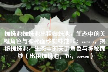 蜘蛛池蜘蛛池出租蜘蛛池，生态中的关键角色与神秘面纱蜘蛛池TG：zzcseo，揭秘蜘蛛池，生态中的关键角色与神秘面纱（出租蜘蛛池，TG，zzcseo）