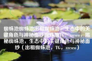 蜘蛛池蜘蛛池出租蜘蛛池，生态中的关键角色与神秘面纱蜘蛛池TG：zzcseo，揭秘蜘蛛池，生态中的关键角色与神秘面纱（出租蜘蛛池，TG，zzcseo）