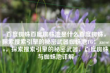 百度蜘蛛百度蜘蛛池是什么百度蜘蛛，探索搜索引擎的秘密武器蜘蛛池TG：zzcseo，探索搜索引擎的秘密武器，百度蜘蛛与蜘蛛池详解