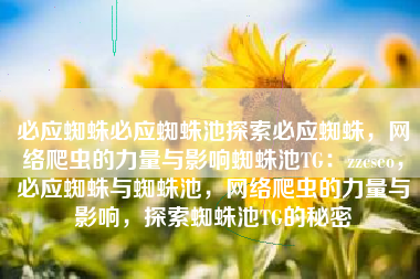 必应蜘蛛必应蜘蛛池探索必应蜘蛛，网络爬虫的力量与影响蜘蛛池TG：zzcseo，必应蜘蛛与蜘蛛池，网络爬虫的力量与影响，探索蜘蛛池TG的秘密