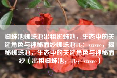 蜘蛛池蜘蛛池出租蜘蛛池，生态中的关键角色与神秘面纱蜘蛛池TG：zzcseo，揭秘蜘蛛池，生态中的关键角色与神秘面纱（出租蜘蛛池，TG，zzcseo）