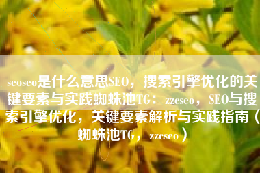 seoseo是什么意思SEO，搜索引擎优化的关键要素与实践蜘蛛池TG：zzcseo，SEO与搜索引擎优化，关键要素解析与实践指南（蜘蛛池TG，zzcseo）
