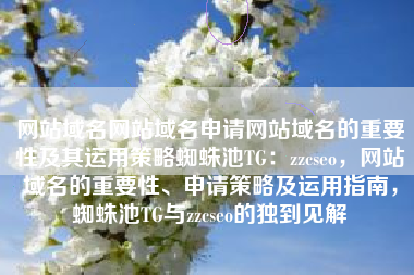 网站域名网站域名申请网站域名的重要性及其运用策略蜘蛛池TG：zzcseo，网站域名的重要性、申请策略及运用指南，蜘蛛池TG与zzcseo的独到见解