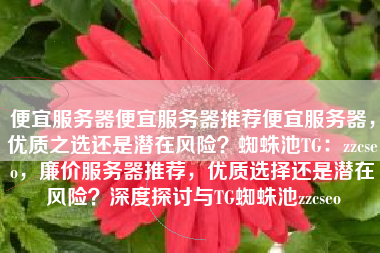 便宜服务器便宜服务器推荐便宜服务器，优质之选还是潜在风险？蜘蛛池TG：zzcseo，廉价服务器推荐，优质选择还是潜在风险？深度探讨与TG蜘蛛池zzcseo