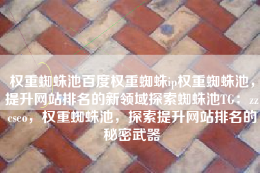 权重蜘蛛池百度权重蜘蛛ip权重蜘蛛池，提升网站排名的新领域探索蜘蛛池TG：zzcseo，权重蜘蛛池，探索提升网站排名的秘密武器