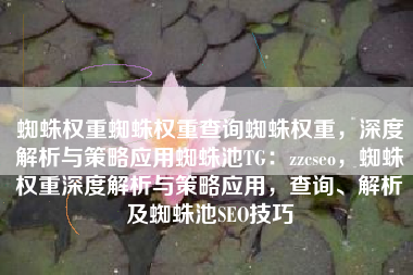 蜘蛛权重蜘蛛权重查询蜘蛛权重，深度解析与策略应用蜘蛛池TG：zzcseo，蜘蛛权重深度解析与策略应用，查询、解析及蜘蛛池SEO技巧