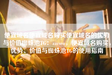 便宜域名便宜域名购买便宜域名的优势与价值蜘蛛池TG：zzcseo，便宜域名购买，优势、价值与蜘蛛池TG的使用指南