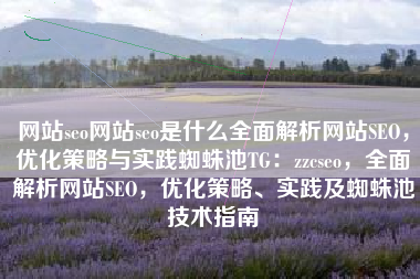 网站seo网站seo是什么全面解析网站SEO，优化策略与实践蜘蛛池TG：zzcseo，全面解析网站SEO，优化策略、实践及蜘蛛池技术指南