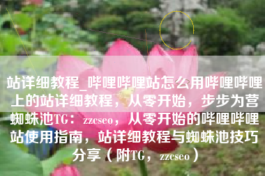 站详细教程_哔哩哔哩站怎么用哔哩哔哩上的站详细教程，从零开始，步步为营蜘蛛池TG：zzcseo，从零开始的哔哩哔哩站使用指南，站详细教程与蜘蛛池技巧分享（附TG，zzcseo）