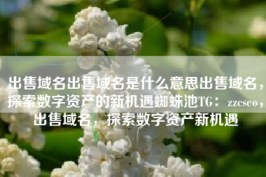 出售域名出售域名是什么意思出售域名，探索数字资产的新机遇蜘蛛池TG：zzcseo，出售域名，探索数字资产新机遇