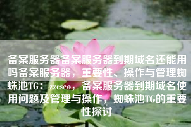 备案服务器备案服务器到期域名还能用吗备案服务器，重要性、操作与管理蜘蛛池TG：zzcseo，备案服务器到期域名使用问题及管理与操作，蜘蛛池TG的重要性探讨