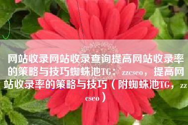 网站收录网站收录查询提高网站收录率的策略与技巧蜘蛛池TG：zzcseo，提高网站收录率的策略与技巧（附蜘蛛池TG，zzcseo）