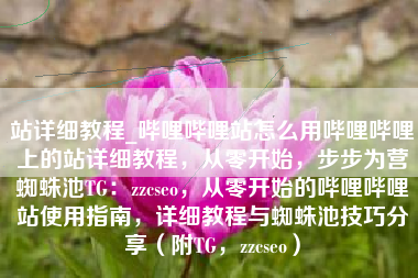 站详细教程_哔哩哔哩站怎么用哔哩哔哩上的站详细教程，从零开始，步步为营蜘蛛池TG：zzcseo，从零开始的哔哩哔哩站使用指南，详细教程与蜘蛛池技巧分享（附TG，zzcseo）