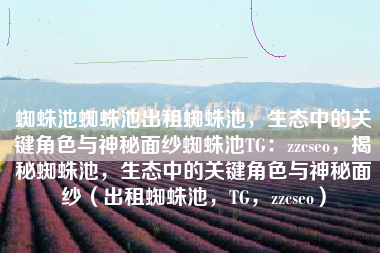 蜘蛛池蜘蛛池出租蜘蛛池，生态中的关键角色与神秘面纱蜘蛛池TG：zzcseo，揭秘蜘蛛池，生态中的关键角色与神秘面纱（出租蜘蛛池，TG，zzcseo）