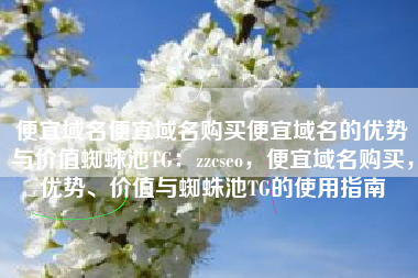 便宜域名便宜域名购买便宜域名的优势与价值蜘蛛池TG：zzcseo，便宜域名购买，优势、价值与蜘蛛池TG的使用指南