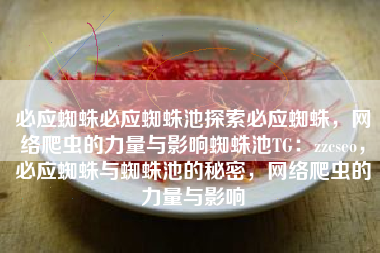 必应蜘蛛必应蜘蛛池探索必应蜘蛛，网络爬虫的力量与影响蜘蛛池TG：zzcseo，必应蜘蛛与蜘蛛池的秘密，网络爬虫的力量与影响