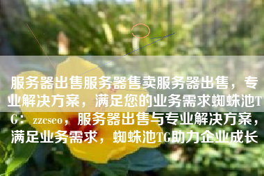 服务器出售服务器售卖服务器出售，专业解决方案，满足您的业务需求蜘蛛池TG：zzcseo，服务器出售与专业解决方案，满足业务需求，蜘蛛池TG助力企业成长