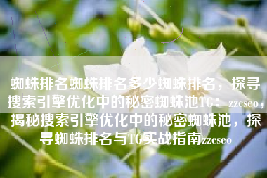 蜘蛛排名蜘蛛排名多少蜘蛛排名，探寻搜索引擎优化中的秘密蜘蛛池TG：zzcseo，揭秘搜索引擎优化中的秘密蜘蛛池，探寻蜘蛛排名与TG实战指南zzcseo